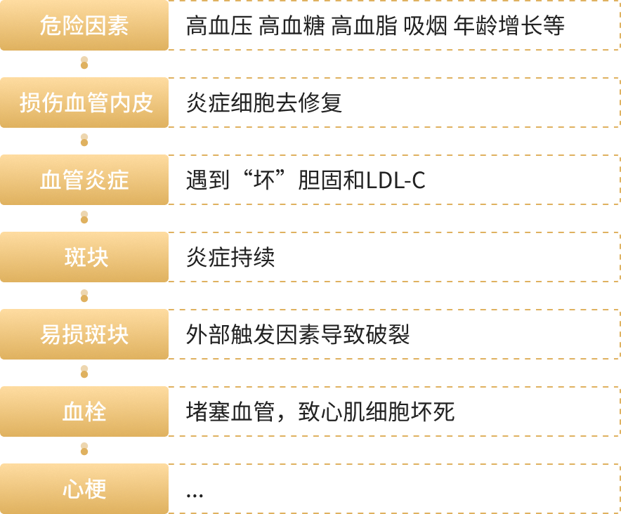 一张图看懂心血管急性事件如何发生